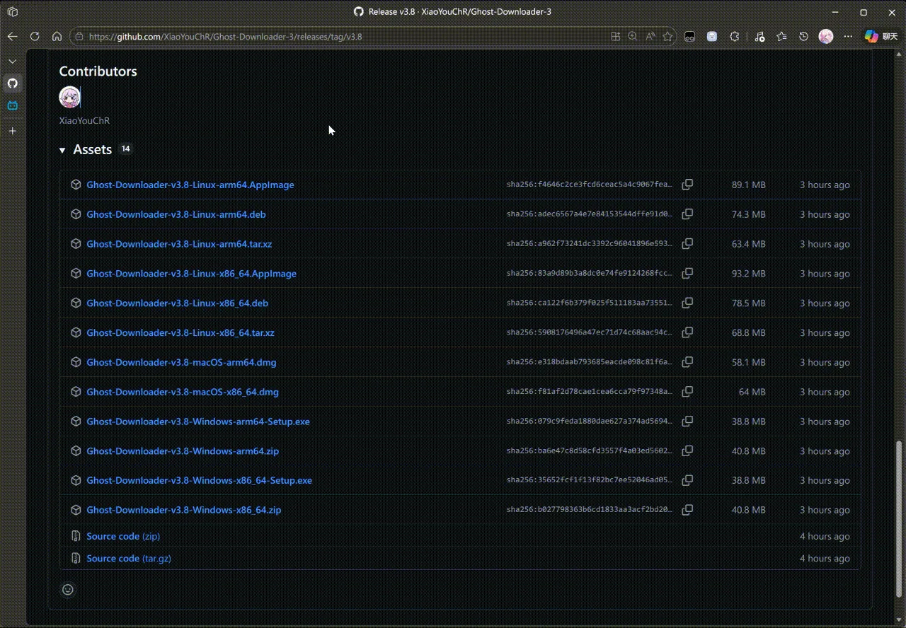 Ghost-Downloader 截图 1