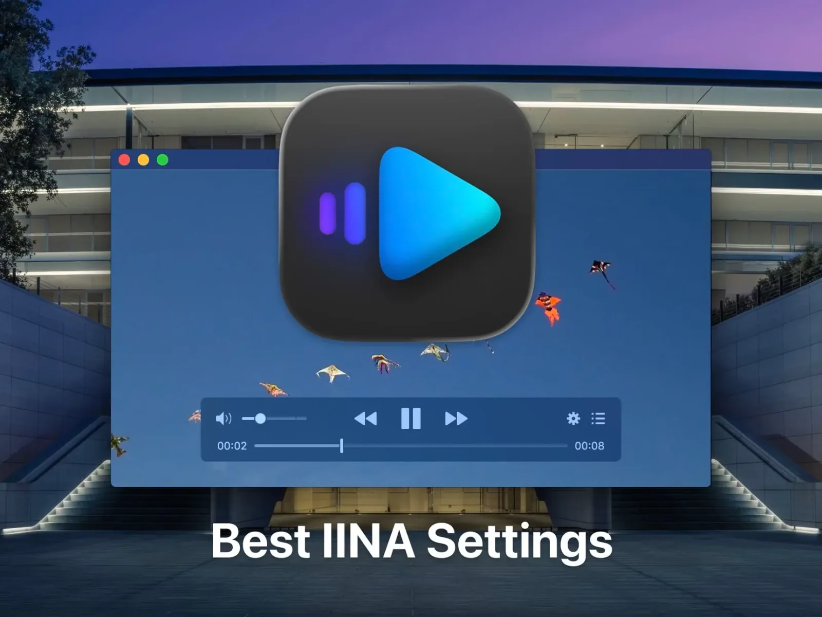 IINA screenshot 1